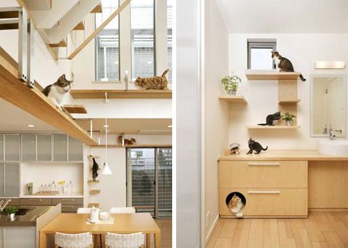 Unbelievable Cat-friendly House Design from Japan — hauspanther