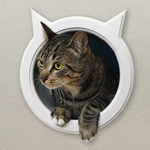 kitty pass wall tunnel