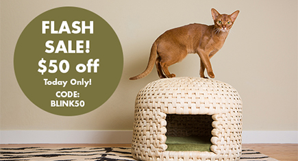 NekoHut Flash Sale! $50 Off and Free Shipping Today Only! • hauspanther