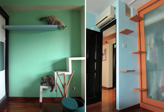 Cat climbing shelves for small spaces