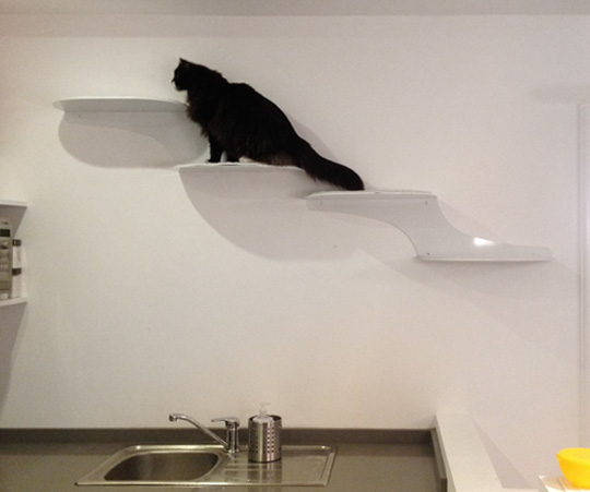 Modern Cat Climbing Shelves