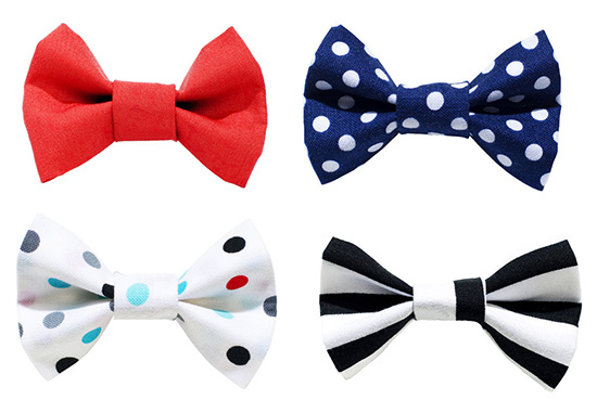 Enter to Win a Kitty Collar & Bow Tie from Sweet Pickles' Designs ...