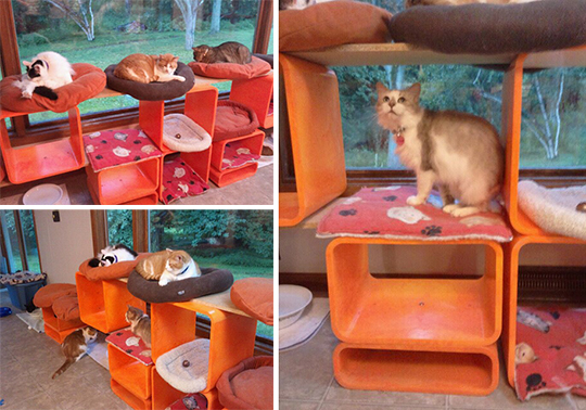 Re-purposed Cat Climbing Furniture