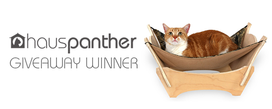 CatHammockBed_winner