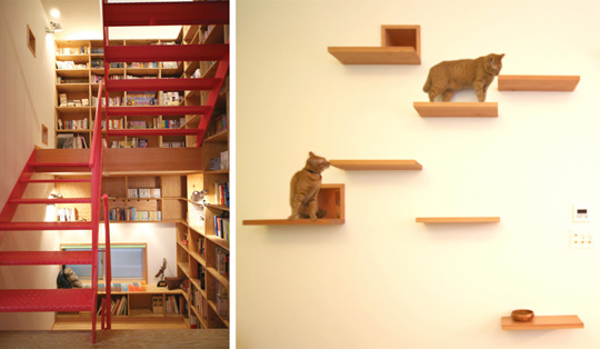Cat-friendly Tokyo Residence Designed by Key Operation