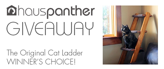 CatLadder_Oct2015_Giveaway550