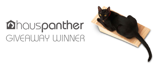 CatScratchBoard_winner