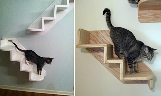 CatStair1