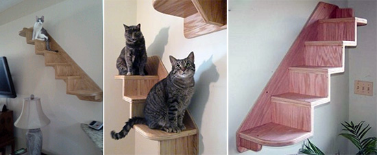 CatStair2