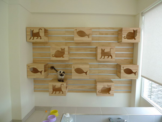 Modular Cat Climbing Wall