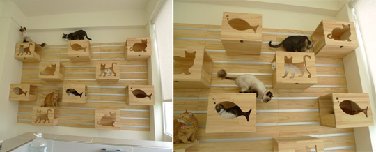 Modular Cat Climbing Wall