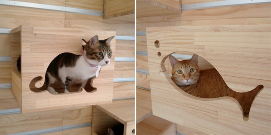 Modular Cat Climbing Wall