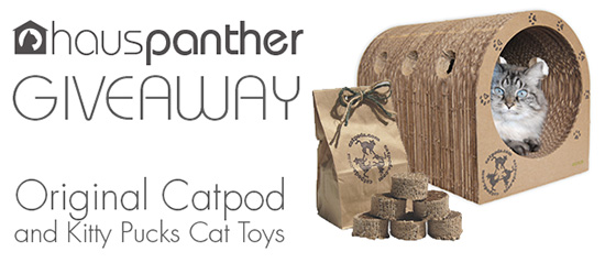 CatpodsGiveaway550