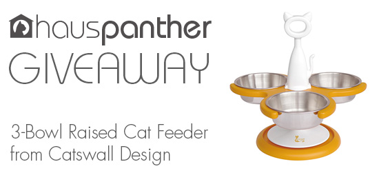 CatswallFeederGiveaway550