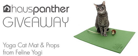 Yoga Cat Mat from Feline Yogi