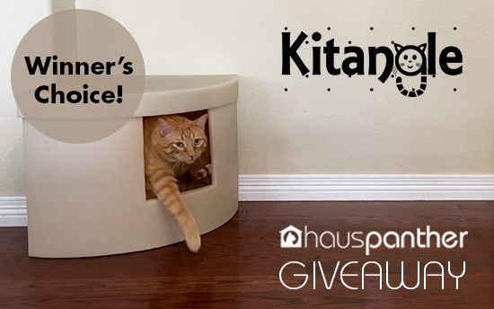 kitanglegiveaway_dec2016