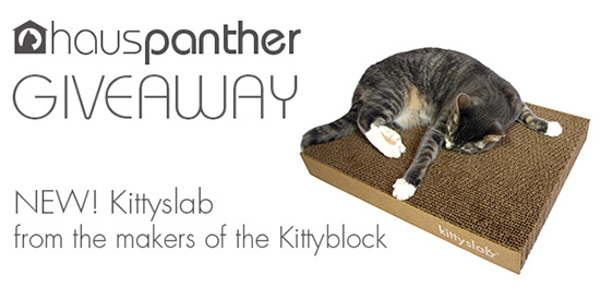 KittyslabGiveaway550