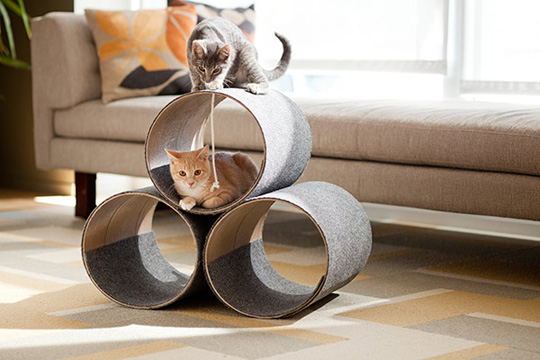 Diy kitty condo hotsell