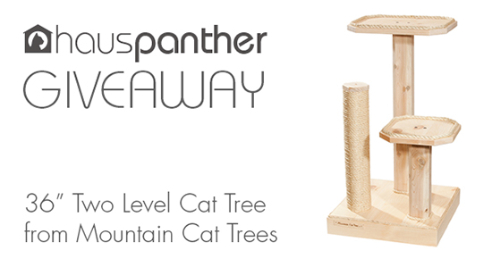 Mountain Cat Trees Giveaway