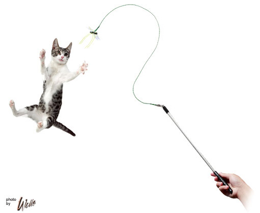 Neko sales flies website