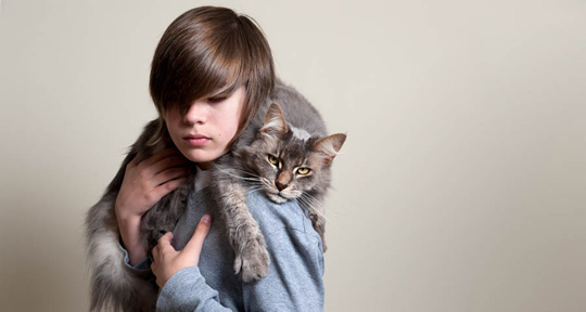 Nynke Wierda Pet Photography