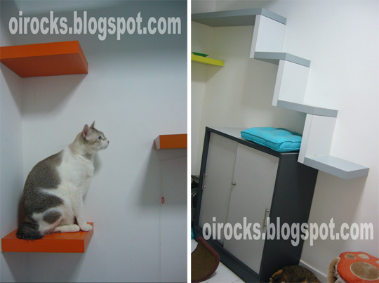 Colorful Cat Climbing Shelves