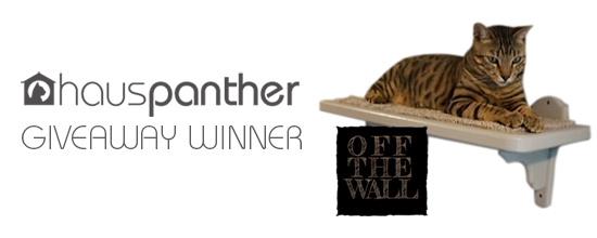 OffTheWall_winner
