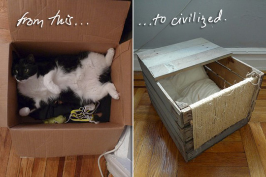 Wooden Shipping Pallet Turned DIY Cat Bed hauspanther