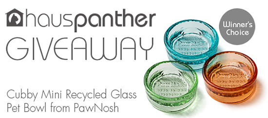 PawNoshGiveawayDec2015-550