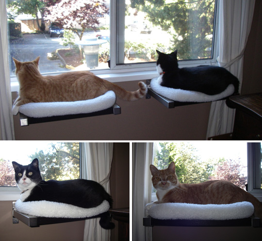 Cat window cheap shelf diy