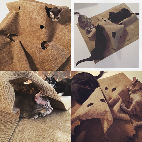 Enter to Win a Ripple Rug Cat Activity Mat! TWO WINNERS! • hauspanther