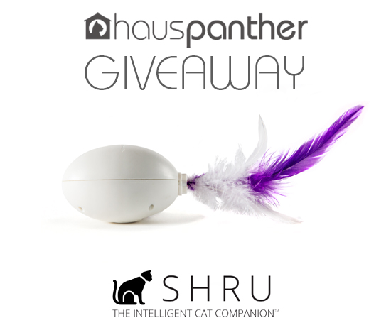 shrugiveaway_nov2016