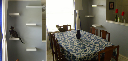 Simple and Elegant DIY Cat Climbing Shelves hauspanther