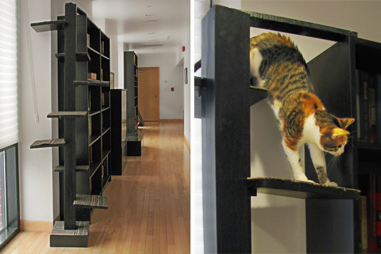 Custom Designed Interior Elements for Living with Cats