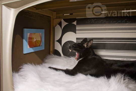 DIY Cat Bed from Vintage TV