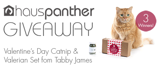 TabbyJamesGiveawayFeb2016