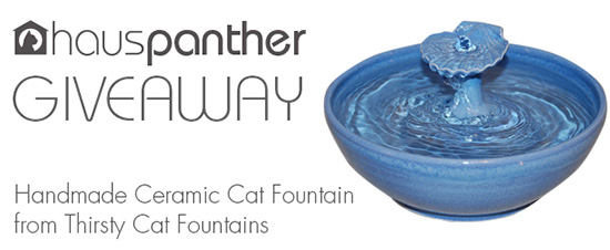 ThirstyCatGiveaway550