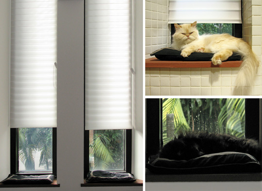 Custom Designed Interior Elements for Living with Cats