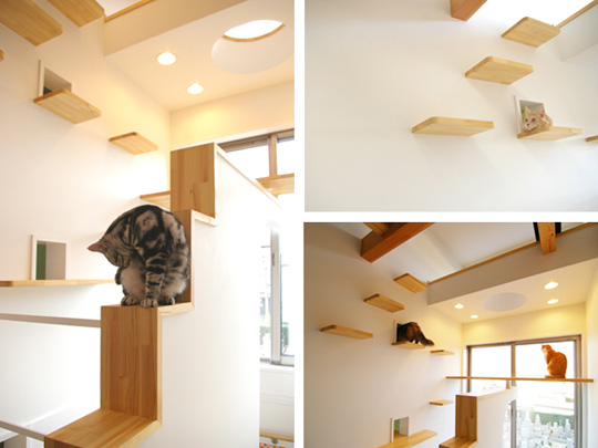 Japanese Cat-friendly House Design