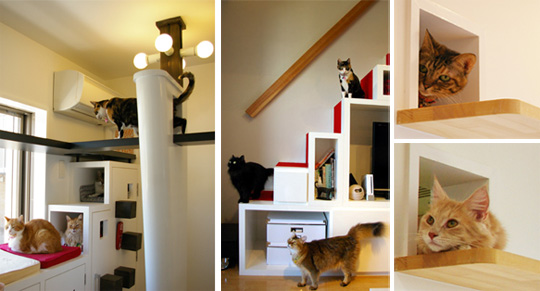 Japanese Cat-friendly House Design