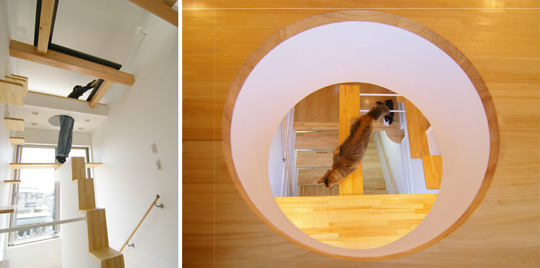 Japanese Cat-friendly House Design