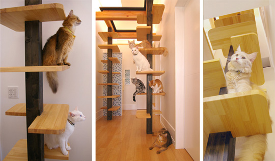 Japanese Cat-friendly House Design