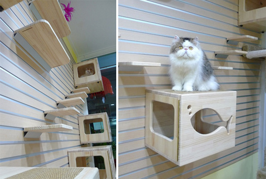 Catswall Design Modular Cat Climbing Wall