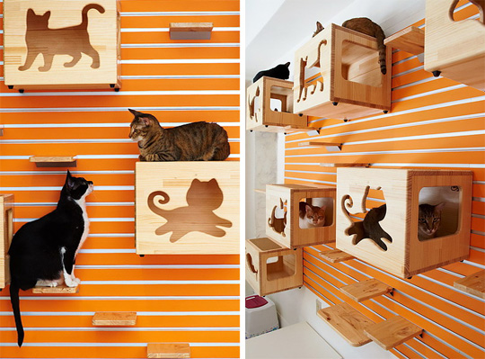 Catswall Design Modular Cat Climbing Wall