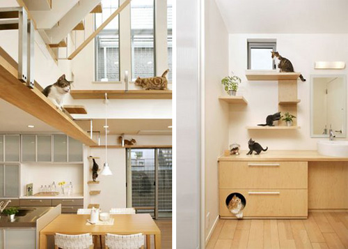 Japanese Cat-friendly House Design