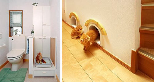 Japanese Cat-friendly House Design