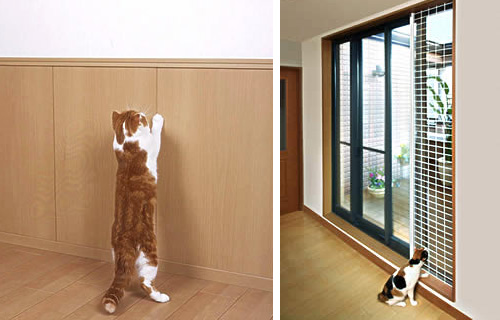 Japanese Cat-friendly House Design