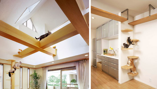 Japanese Cat-friendly House Design