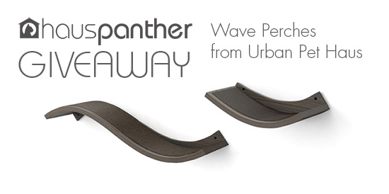 Urban Pet Haus Wave Perch Giveaway