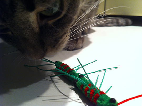 Neko Flies Cat Toys